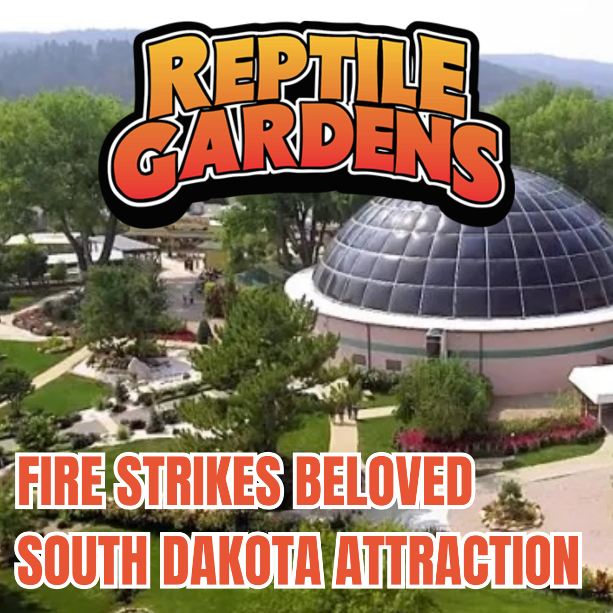 Fire Strikes SD Zoo