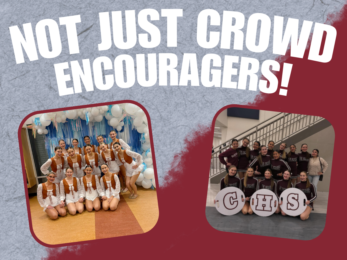 Not Just Crowd Encouragers!