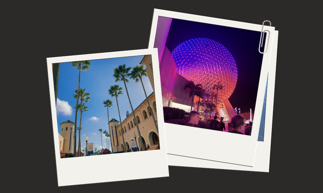 Day in my Life -- In Florida!