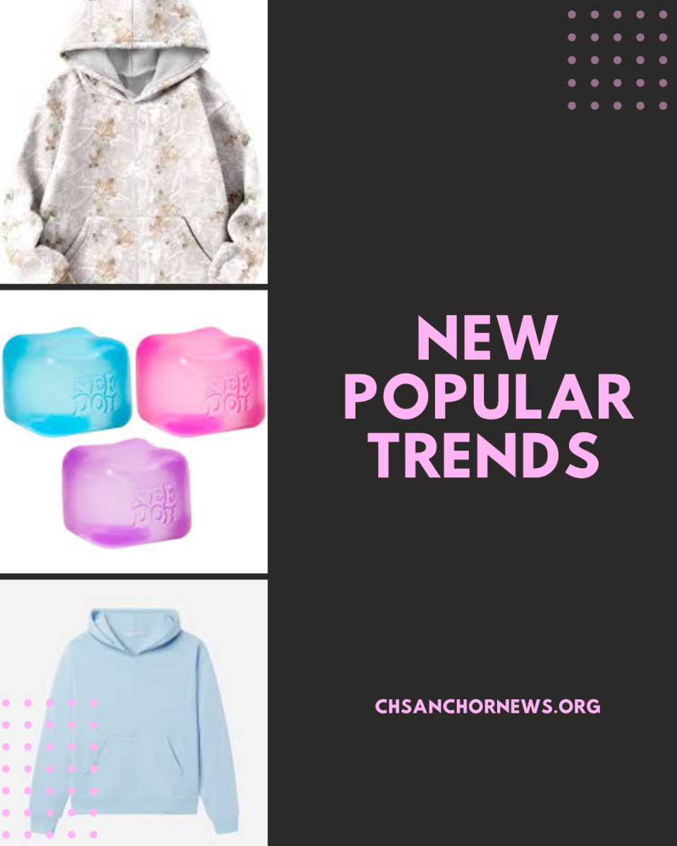What is Popular This Year?